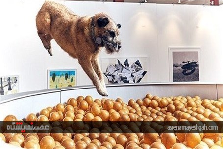 اولین نمایشگاه هنری جهان برای سگ ها (+عکس)