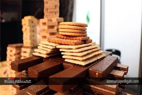 نمایشگاه شهر بیسکویتی+عکس