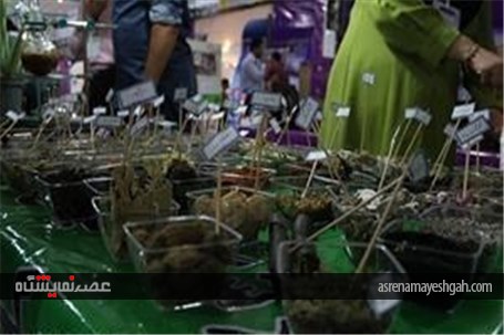 گزارش تصویری/ نمایشگاه هفته دولت در اهواز