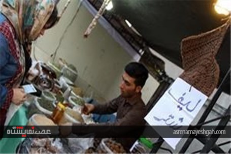 گزارش تصویری/ نمایشگاه هفته دولت در اهواز