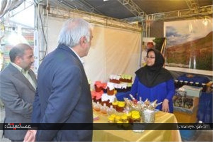 بازدید استاندار مازندران از دومین نمایشگاه عسل در بابلسر