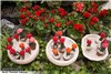 گزارش تصویری اختتامیه هشتمین نمایشگاه فصلی گل و گیاه و جشنواره گلهای پائیزی