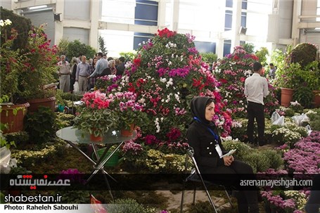 گزارش تصویری اختتامیه هشتمین نمایشگاه فصلی گل و گیاه و جشنواره گلهای پائیزی