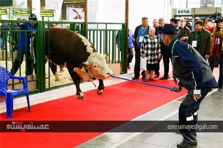 گزارش تصویری نمایشگاه کشاورزی در مسکو