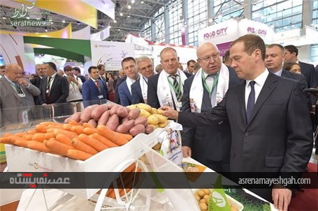 گزارش تصویری نمایشگاه کشاورزی در مسکو