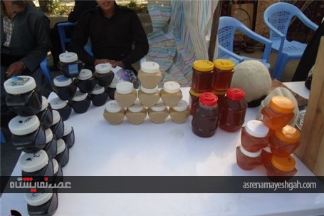 گزارش تصویری برگزاری نمایشگاه دستاوردهای اقتصاد مقاومتی بسیج سازندگی شهرستان جوانرود