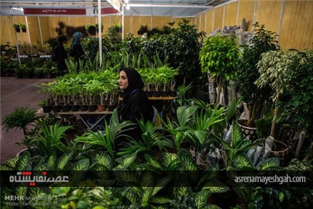 گزارش تصویری چهارمین نمایشگاه گل و گیاه در قزوین