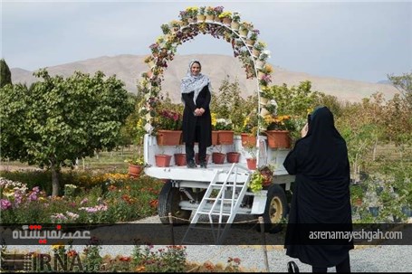 گزارش تصویری نمایشگاه گل های داودی در در باغ ملی گیاه شناسی