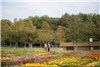 گزارش تصویری نمایشگاه گل های داودی در در باغ ملی گیاه شناسی