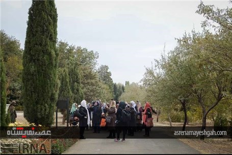 گزارش تصویری نمایشگاه گل های داودی در در باغ ملی گیاه شناسی