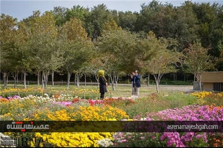 گزارش تصویری نمایشگاه گل های داودی در در باغ ملی گیاه شناسی