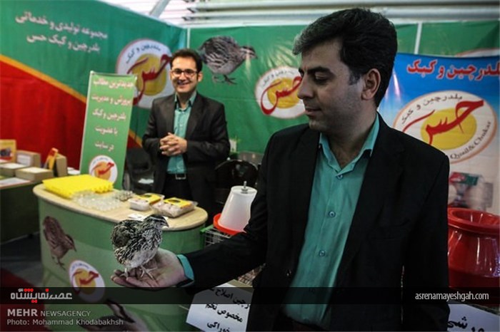 پانزدهمین نمایشگاه بین المللی دام و طیور