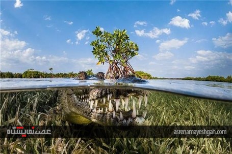 تصاویر برگزیدۀ جشنوارۀ عکاسی ایتالیا