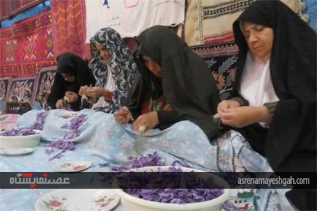 گزارش تصویری نمایشگاه پاییز بهاری در قاین