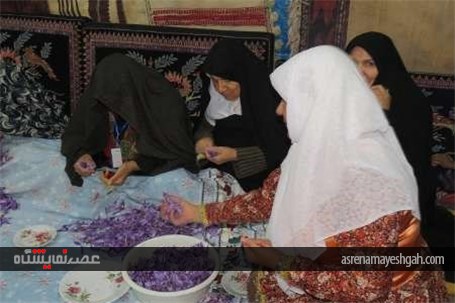 گزارش تصویری نمایشگاه پاییز بهاری در قاین