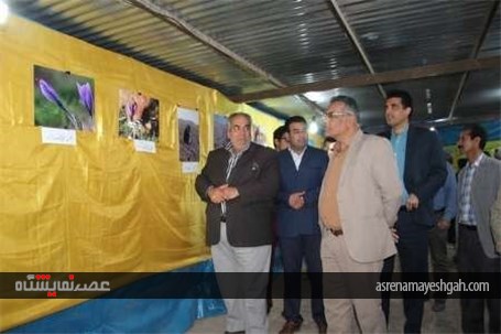 گزارش تصویری نمایشگاه پاییز بهاری در قاین
