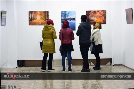 گزارش تصویری نمایشگاه عکس طبیعت سرزمین من