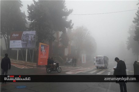 نمایشگاه در مه +تصاویر