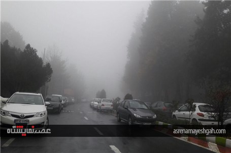 نمایشگاه در مه +تصاویر