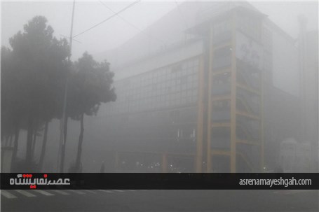 نمایشگاه در مه +تصاویر