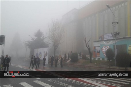 نمایشگاه در مه +تصاویر