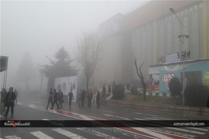 نمایشگاه در مه +تصاویر