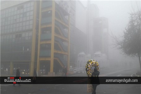 نمایشگاه در مه +تصاویر