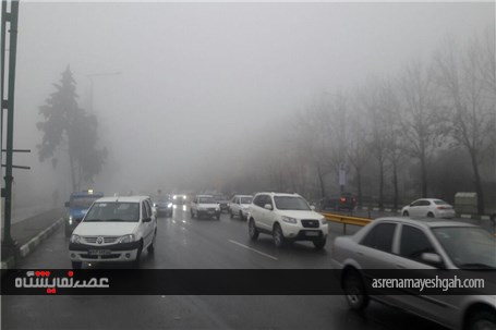 نمایشگاه در مه +تصاویر