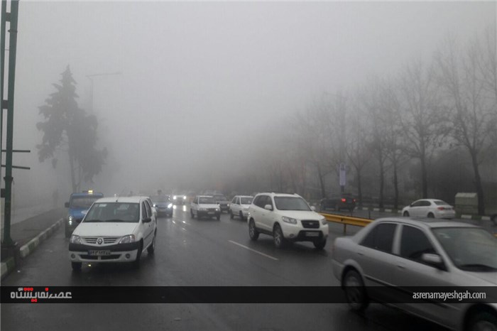 نمایشگاه در مه +تصاویر