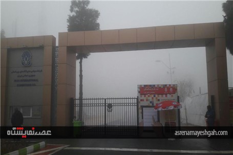 نمایشگاه در مه +تصاویر