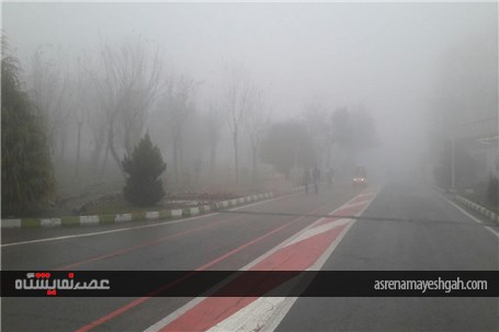 نمایشگاه در مه +تصاویر