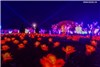 گزارش تصویری رونمایی از ده‌ها هزار چراغ گل رز در نمایشگاه نور چین