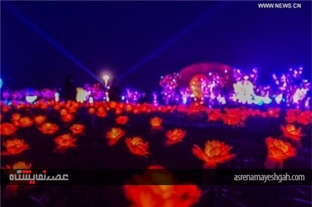 گزارش تصویری رونمایی از ده‌ها هزار چراغ گل رز در نمایشگاه نور چین