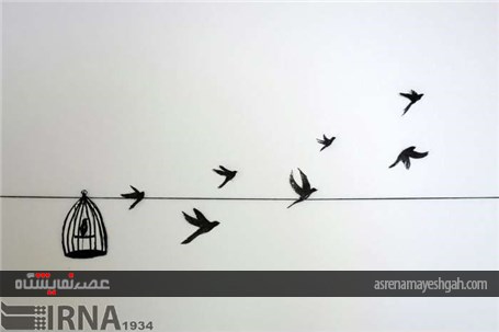 گزارش تصویری نمایشگاه عکس گروهی مینمال در سنندج