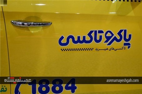 زاینده رود میزبان دوزیست‌‌های هیوندای