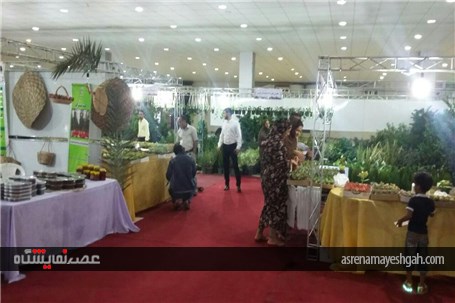 گزارش تصویری نمایشگاه تخصصی روزهای سبز هرمزگان