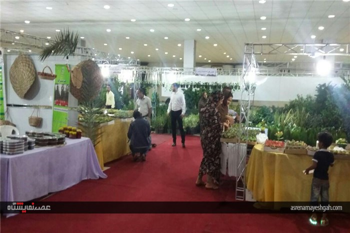 گزارش تصویری نمایشگاه تخصصی روزهای سبز هرمزگان