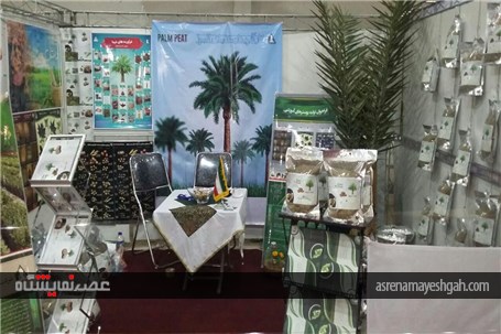 گزارش تصویری چهارمین نمایشگاه تخصصی روزهای سبز هرمزگان