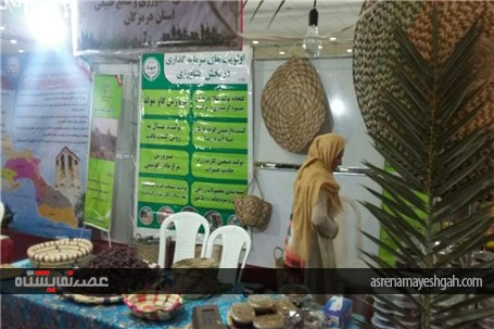 گزارش تصویری چهارمین نمایشگاه تخصصی روزهای سبز هرمزگان