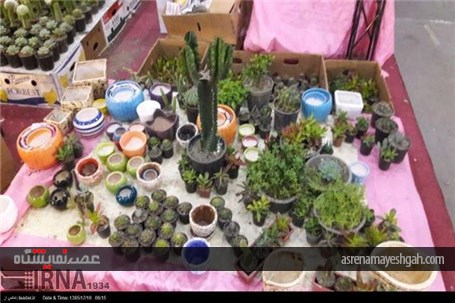 گزارش تصویری از نمایشگاه گل و گیاه، صنایع دستی، سوغات و هدایا استان سمنان
