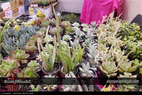 گزارش تصویری از نمایشگاه گل و گیاه، صنایع دستی، سوغات و هدایا استان سمنان