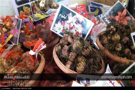 گزارش تصویری از نمایشگاه گل و گیاه، صنایع دستی، سوغات و هدایا استان سمنان
