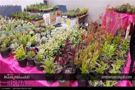 گزارش تصویری از نمایشگاه گل و گیاه، صنایع دستی، سوغات و هدایا استان سمنان