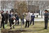 مراسم روز درختکاری با حضور کارکنان نمایشگاه بین المللی مشهد در محوطه فضای سبز +تصاویر
