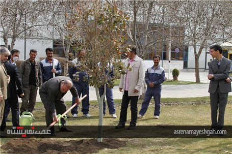 مراسم روز درختکاری با حضور کارکنان نمایشگاه بین المللی مشهد در محوطه فضای سبز +تصاویر