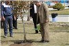 مراسم روز درختکاری با حضور کارکنان نمایشگاه بین المللی مشهد در محوطه فضای سبز +تصاویر
