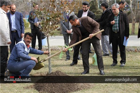 مراسم روز درختکاری با حضور کارکنان نمایشگاه بین المللی مشهد در محوطه فضای سبز +تصاویر