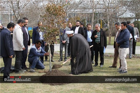مراسم روز درختکاری با حضور کارکنان نمایشگاه بین المللی مشهد در محوطه فضای سبز +تصاویر