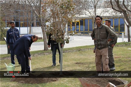 مراسم روز درختکاری با حضور کارکنان نمایشگاه بین المللی مشهد در محوطه فضای سبز +تصاویر