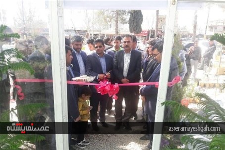 گزارش تصویری از نخستین نمایشگاه دائمی گل و گیاه در یاسوج